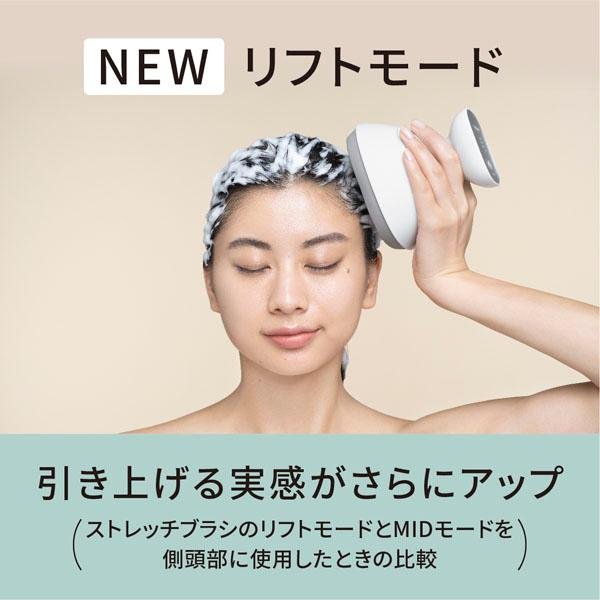 Panasonic（パナソニック） 頭皮エステ スパイラル＆スライド EH-HE0J