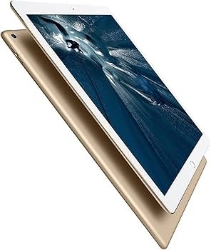 Amazon.com : Apple iPad Pro (128GB, Wi-Fi + Cellular, Gold) 12.9in